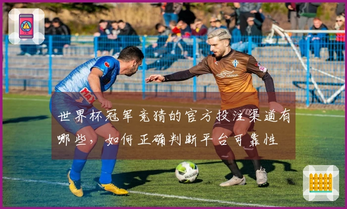 世界杯冠军竞猜的官方投注渠道有哪些，如何正确判断平台可靠性