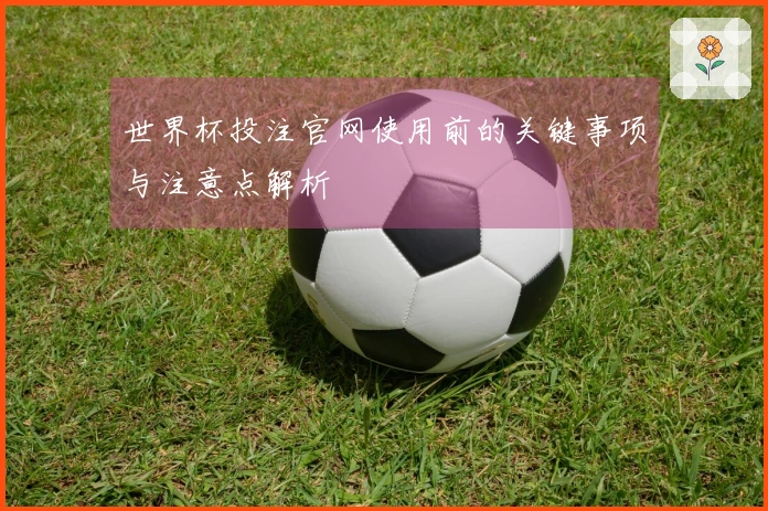 世界杯投注官网使用前的关键事项与注意点解析