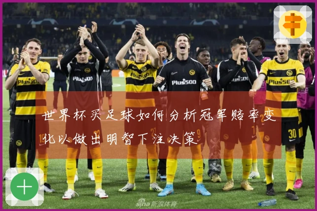世界杯买足球如何分析冠军赔率变化以做出明智下注决策
