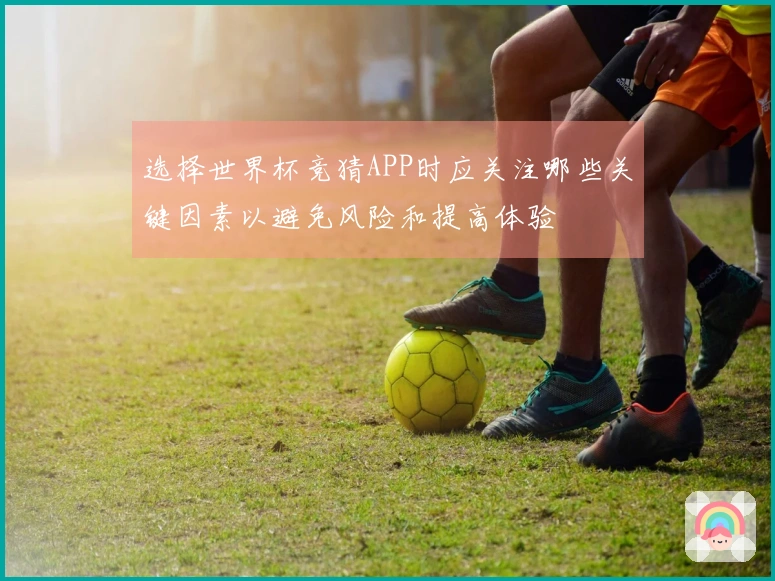 选择世界杯竞猜APP时应关注哪些关键因素以避免风险和提高体验