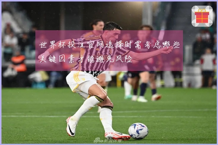 世界杯投注官网选择时需考虑哪些关键因素才能避免风险