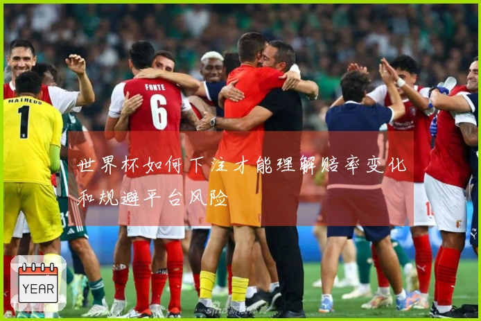 世界杯如何下注才能理解赔率变化和规避平台风险
