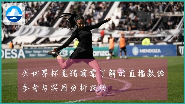 买世界杯竞猜前需了解的直播数据参考与实用分析技巧
