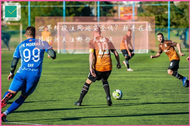 世界杯投注网站安全吗？新手在选择前该关注哪些关键点